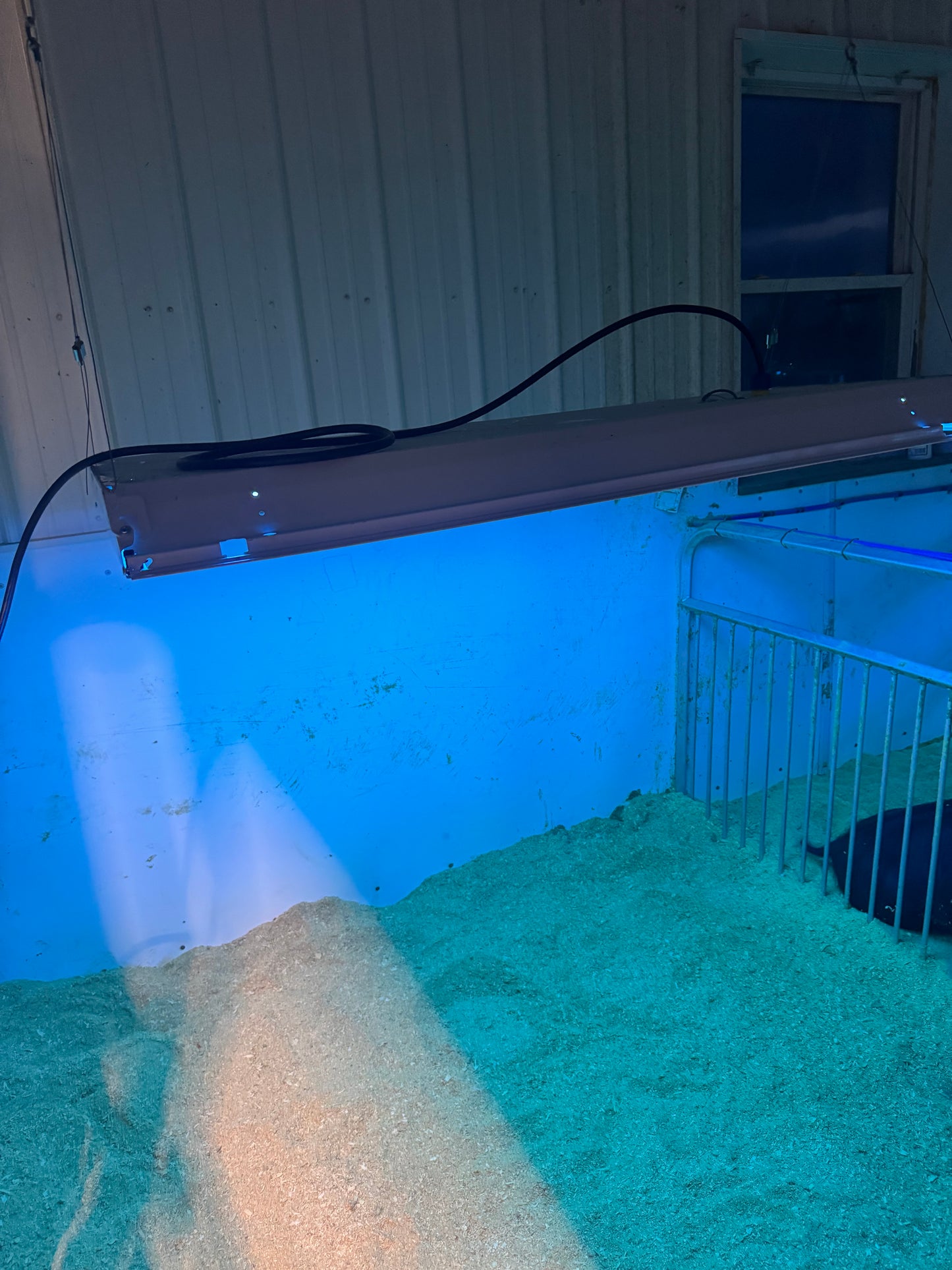 Refurbished Hog Tanning Light