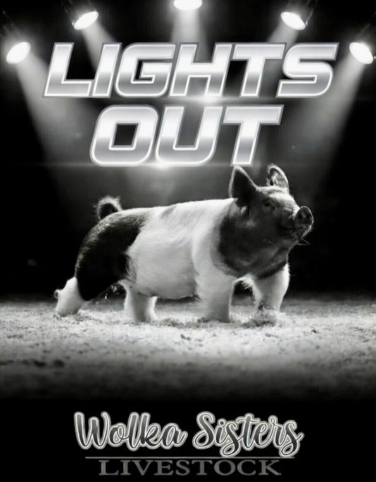 Lights Out by Wolka Sisters Livestock
