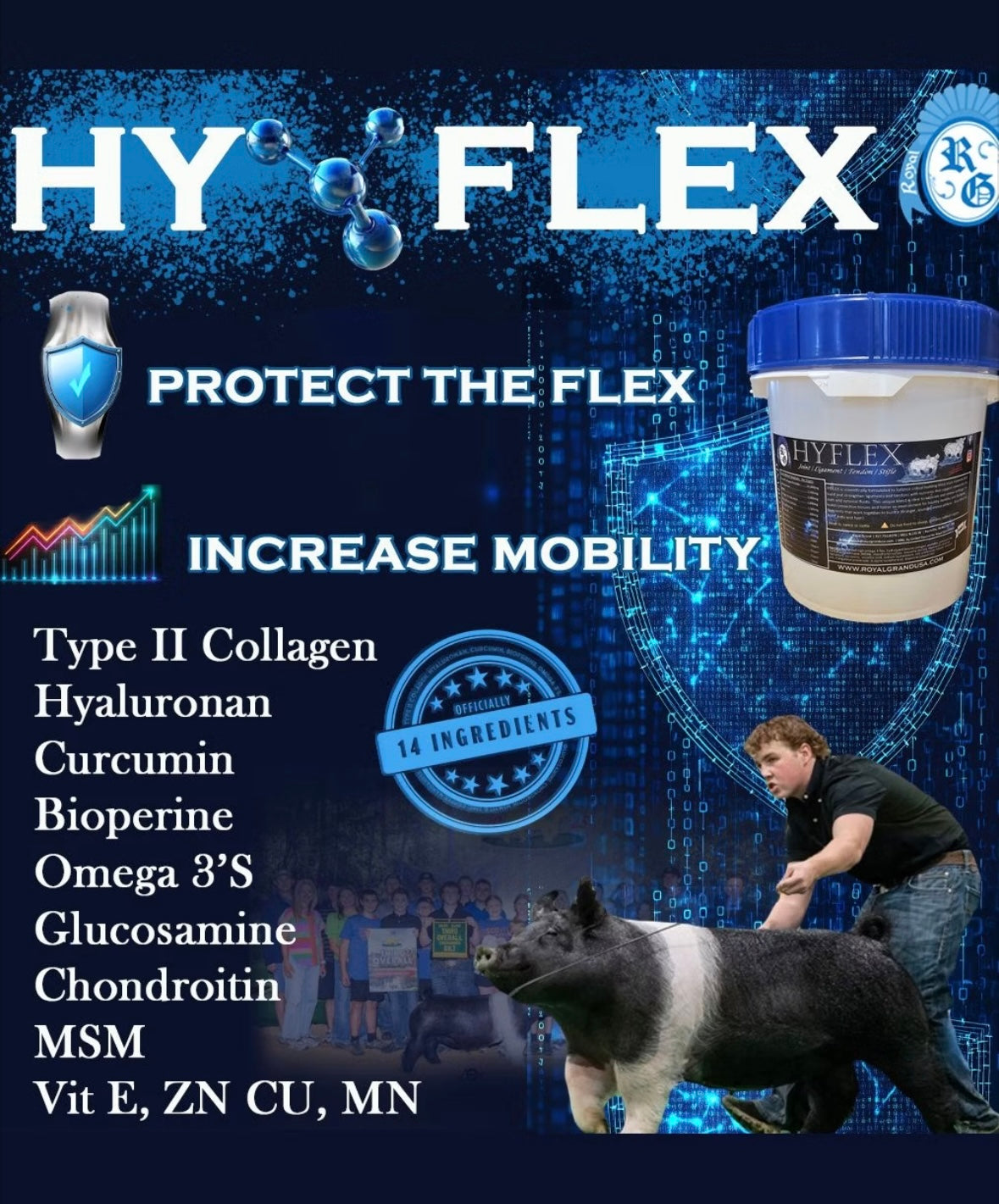HyFlex Joint Supplement
