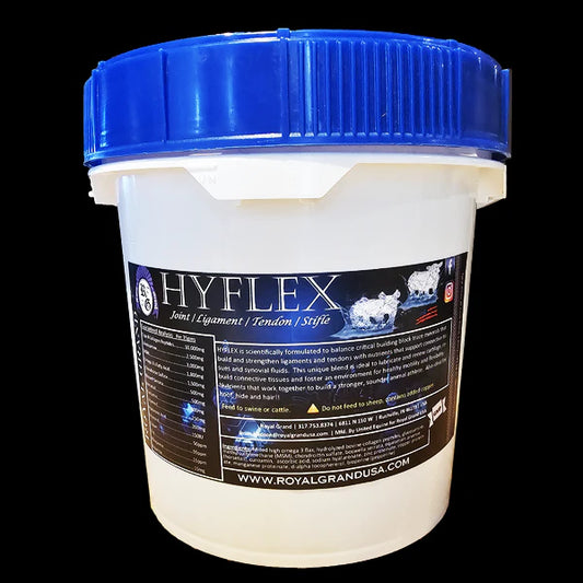 HyFlex Joint Supplement